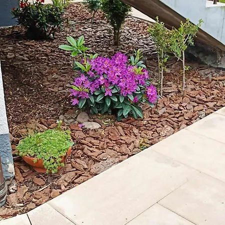 Big Blue - 6 Osobowy *