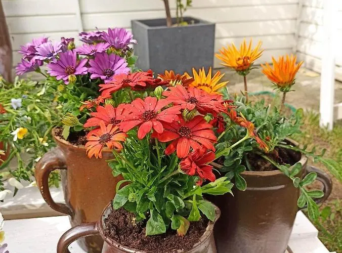 Lägenhet Big Blue - 6 Osobowy