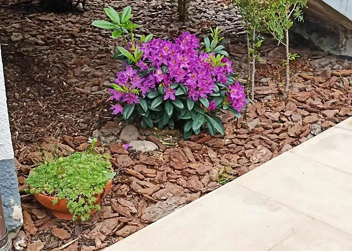 Big Blue - 6 Osobowy *